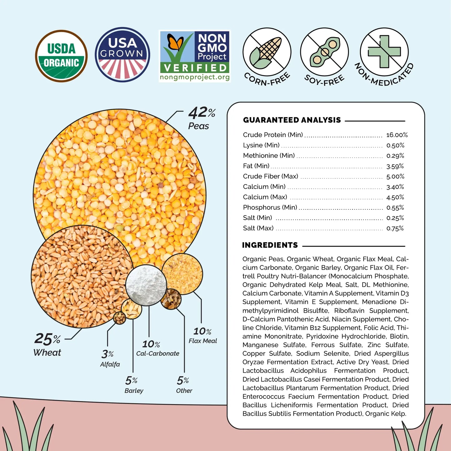 Mile Four Organic Layer Chicken Feed for Healthy Egg Production