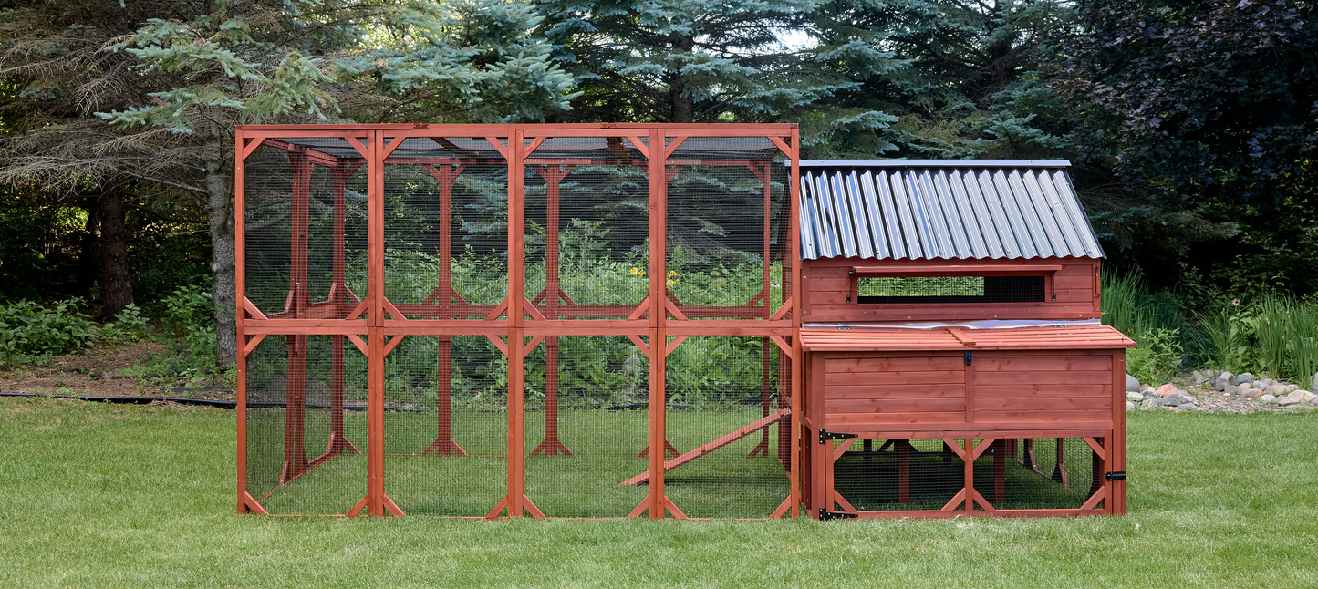 Wide angle view of Brahma chicken coop for 15 chickens fully assembled with run extension showing complete large flock setup