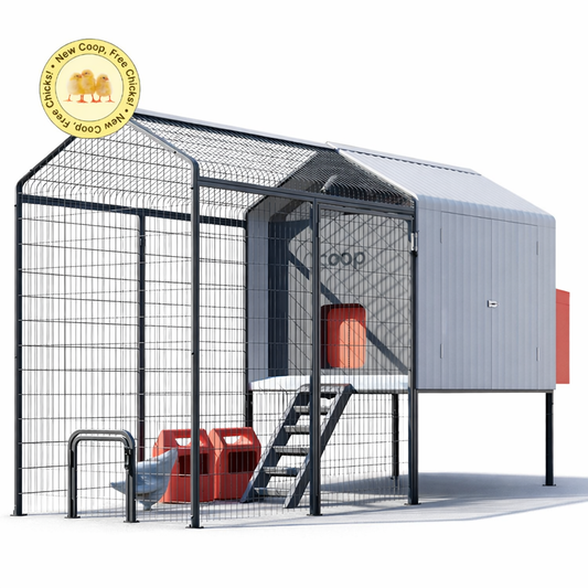 Front view of a modern Smart Coop in light gray, featuring an elevated hen house and a full-height black wire-mesh integrated run.