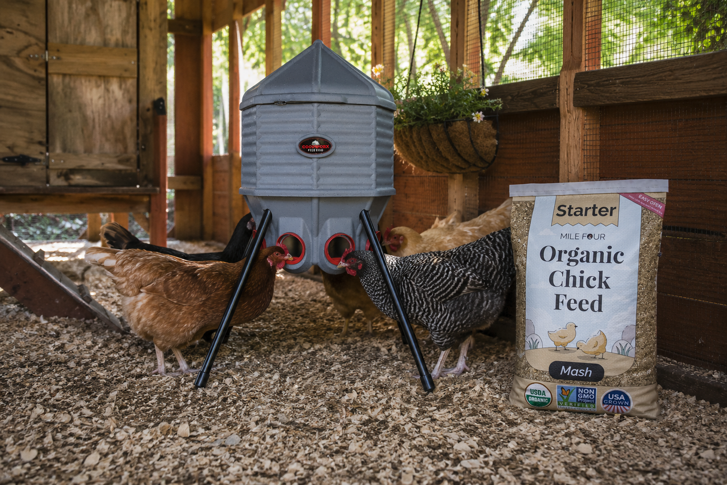 Brahma Chicken Coop Starter Bundle | Save $100