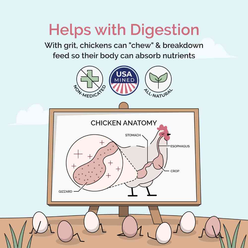 Mile Four Chicken Grit for Digestion & Nutrient Absorption