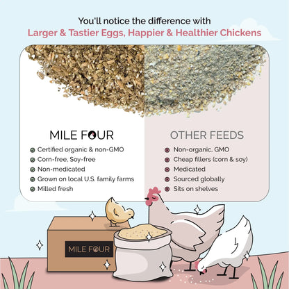 Mile Four Organic Layer Chicken Feed for Healthy Egg Production