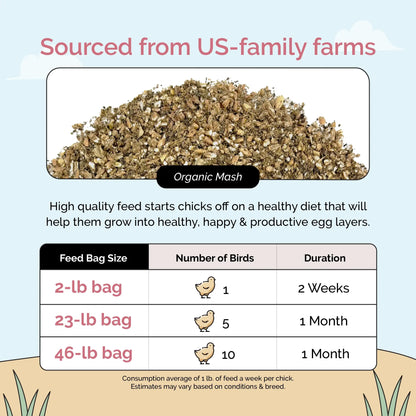 Mile Four Organic Starter Feed Kit for Baby Chicks (First 8 Weeks)