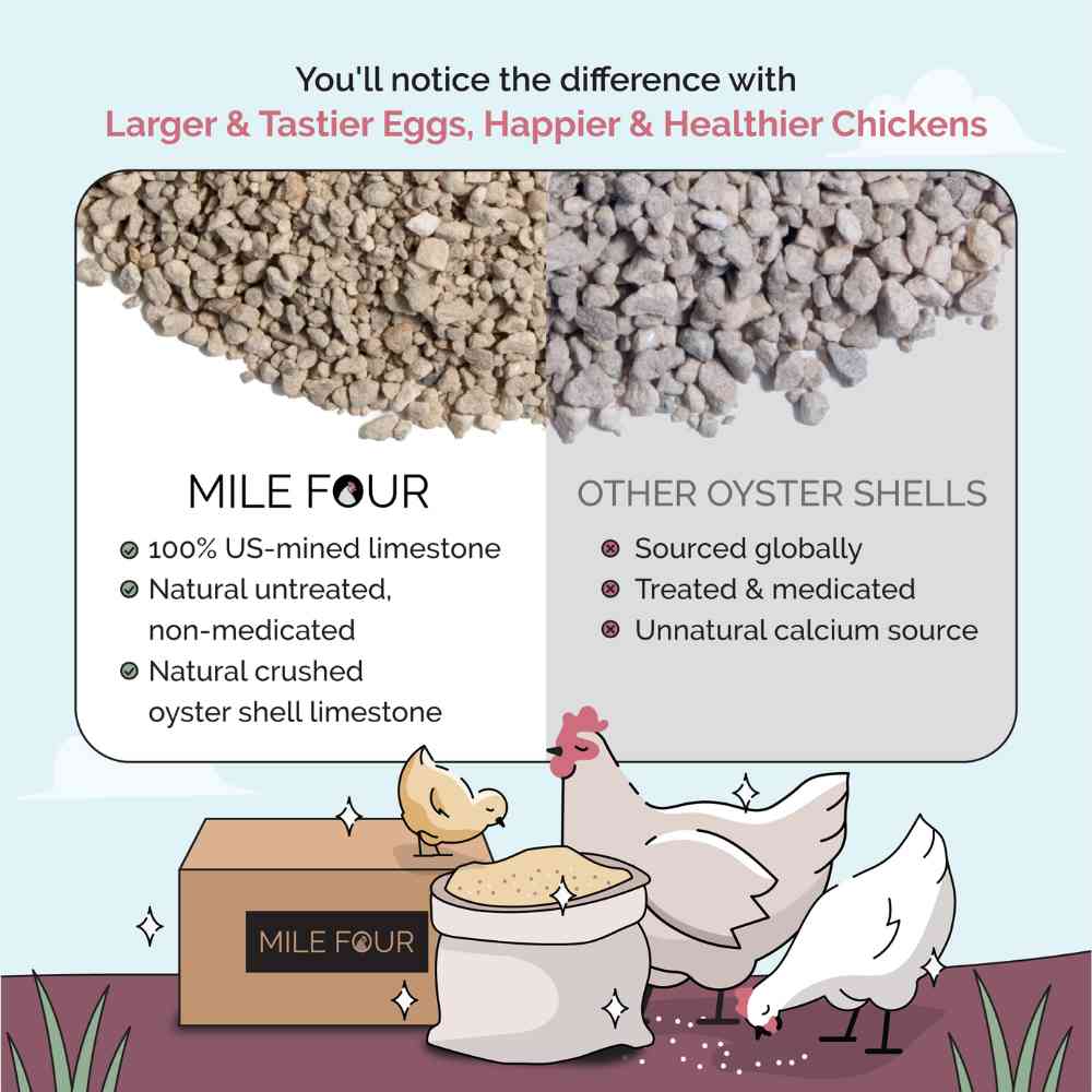 Mile Four Oyster Shell Calcium Supplement for Strong Eggshells