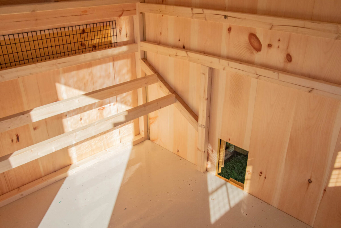 7x16 Quaker Combination Chicken Coop – Amish Built Board & Batten | The Nestled Coop