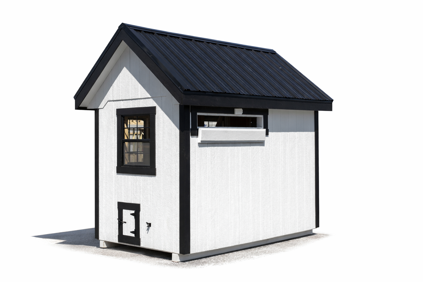 Rear exterior view of A610TF 6x10 A-frame chicken coop with white siding and black metal roof