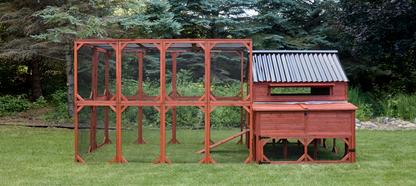 Wide angle view of Brahma chicken coop for 15 chickens fully assembled with run extension showing complete large flock setup