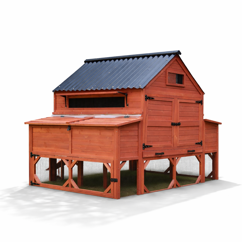  Brahma chicken coop for 15 chickens full view showing large raised hen house with black metal roof, extended legs, and warm cedar wood finish