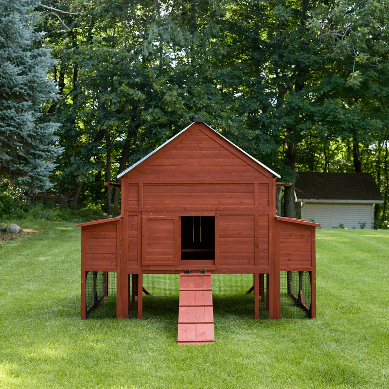Brahma large flock chicken coop fully assembled in a backyard garden setting showing elevated design and enclosed run area