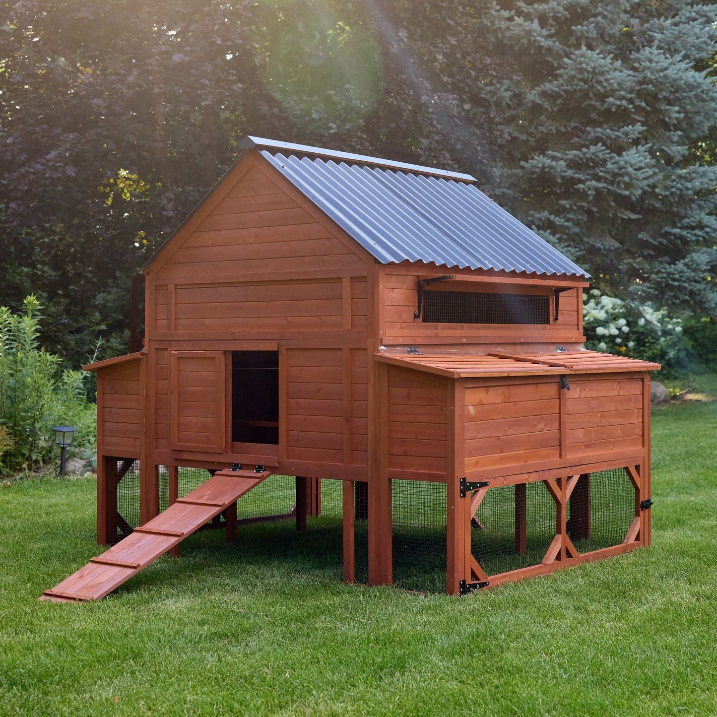  Side angle view of Brahma chicken coop showing entry ramp, raised hen house, and attached enclosed run on grass