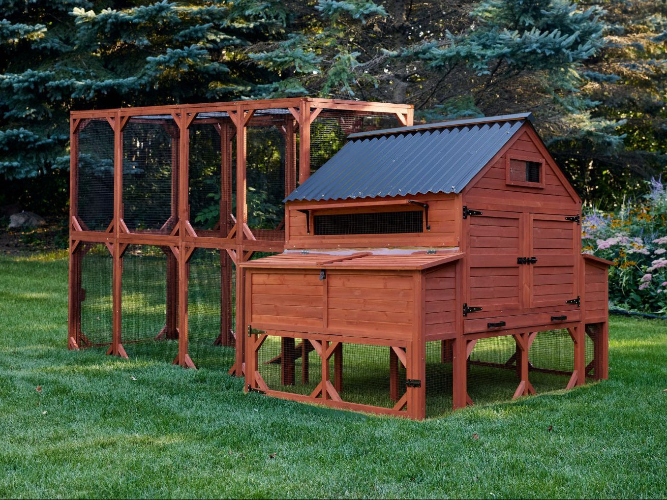  Brahma chicken coop kit assembled outdoors with attached run extension showing full setup and natural wood finish