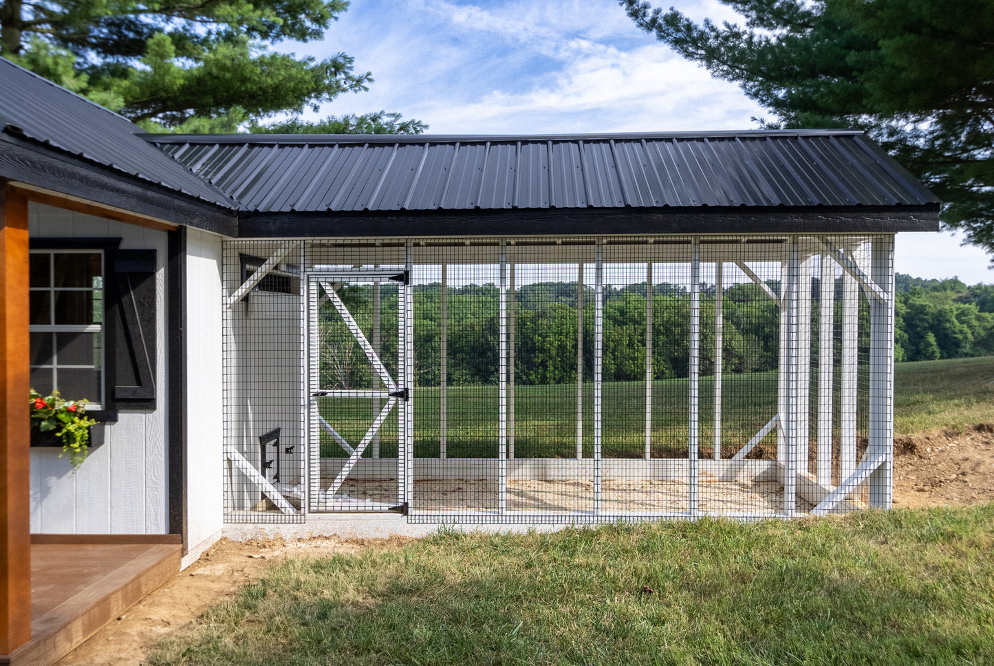Attached outdoor chicken run with white framing and black metal roof connected to farmhouse chicken coop