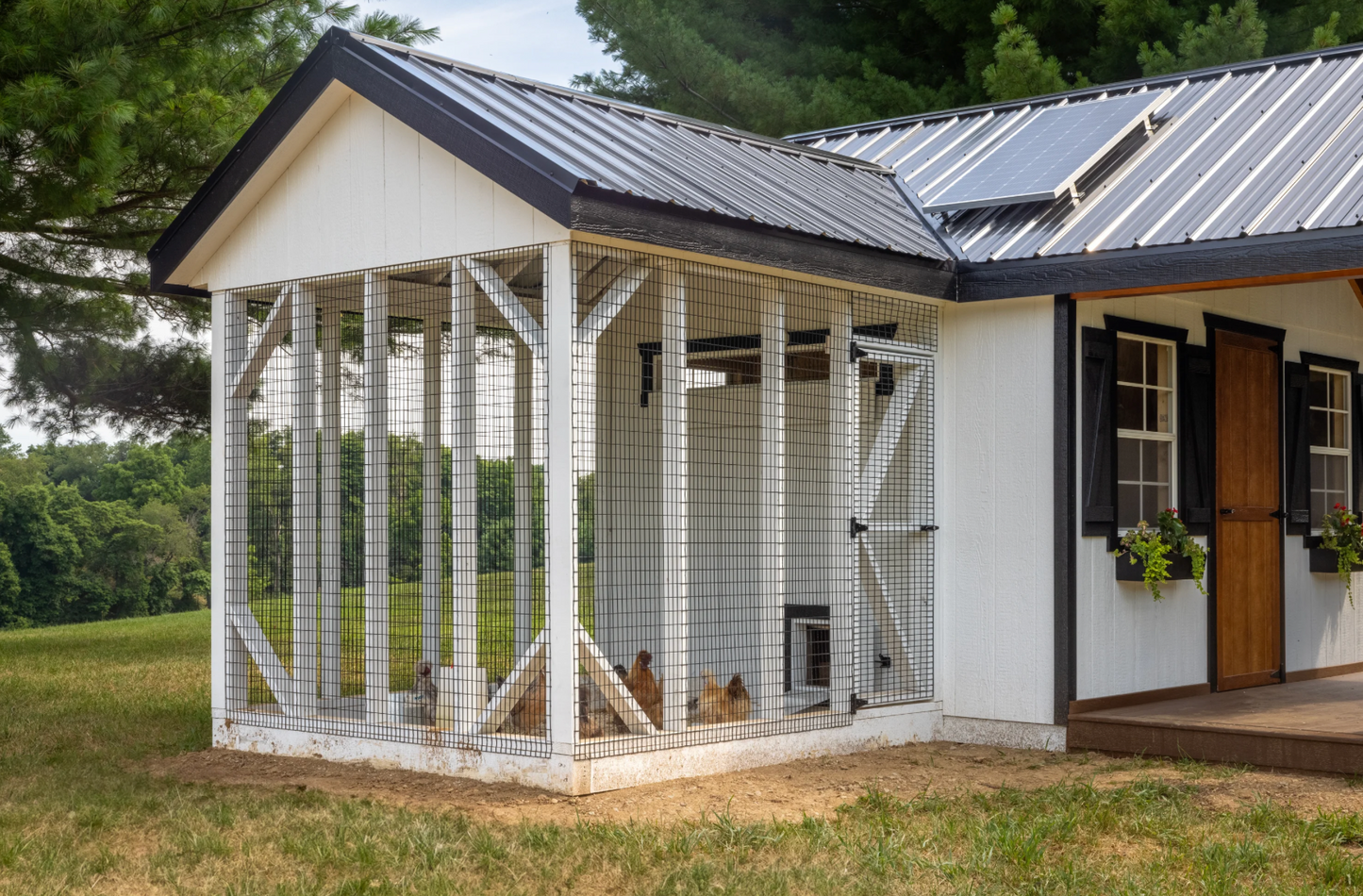 Attached outdoor chicken run with white framing and solar panel and black metal roof connected to farmhouse chicken coop