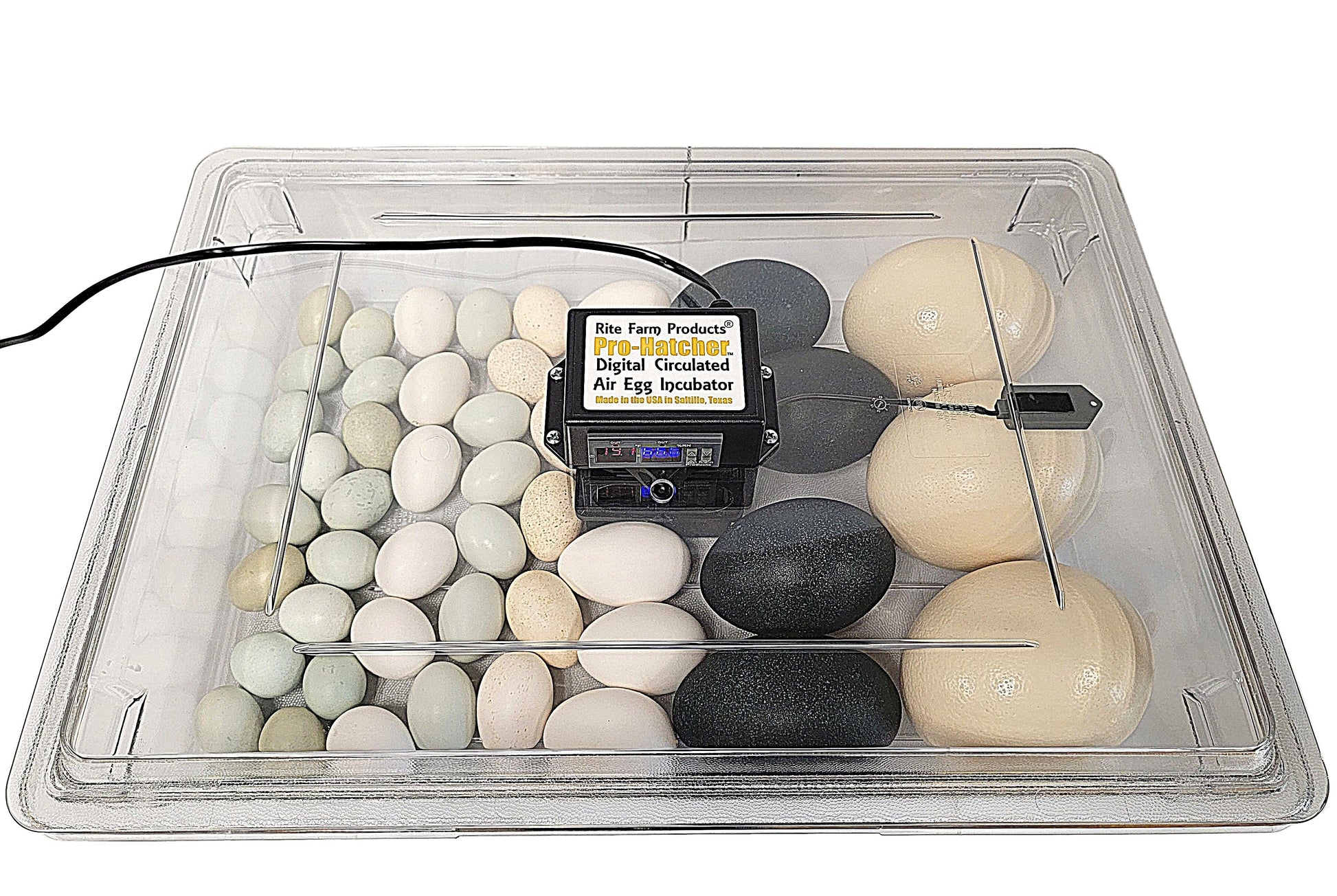 Top view of clear plastic circulated air egg incubator with digital control panel and multiple chicken eggs