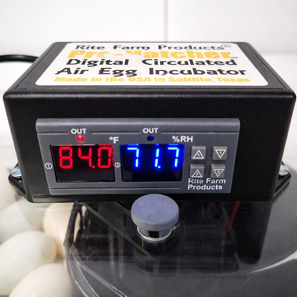 Digital egg incubator showing temperature and humidity readings with eggs inside transparent lid