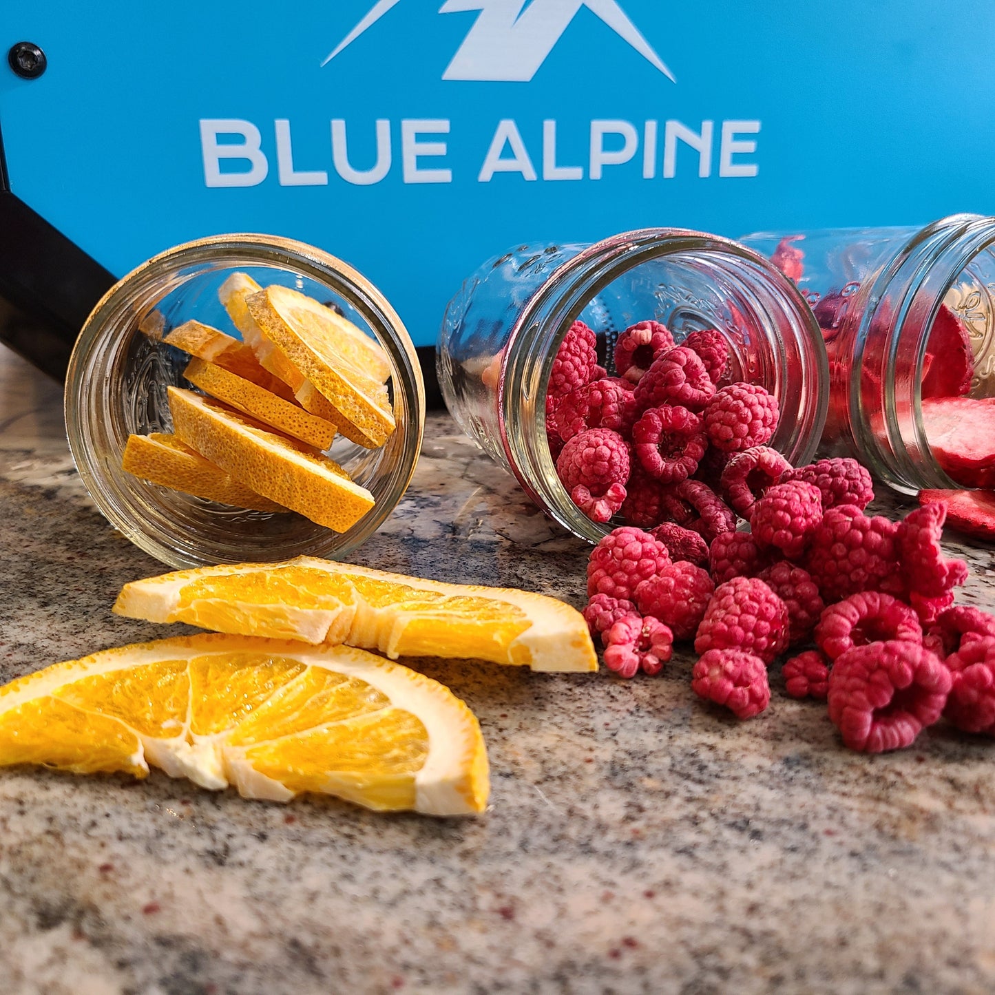 Blue Alpine Medium Elite Freeze Dryer