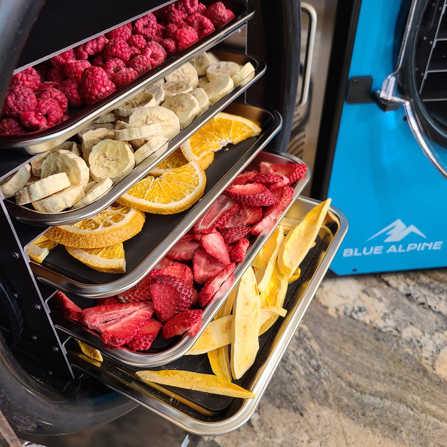 Blue Alpine Medium Elite Freeze Dryer