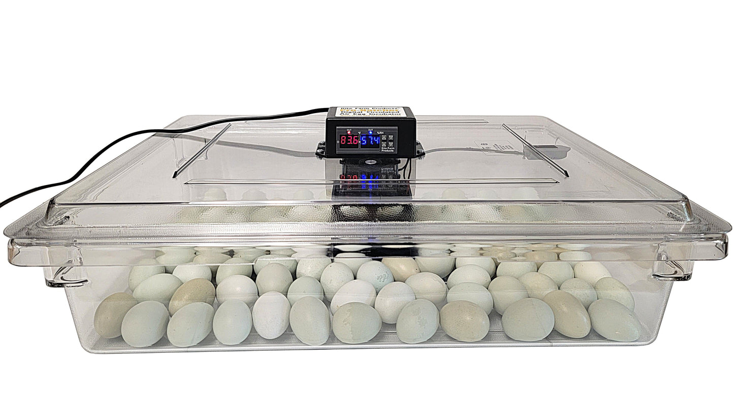 Home poultry egg incubator with clear lid and circulated air system for hatching chicken eggs