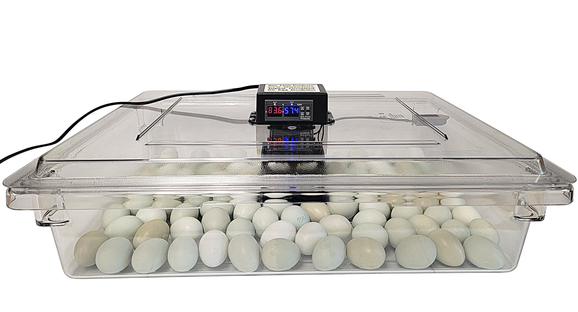 Home poultry egg incubator with clear lid and circulated air system for hatching chicken eggs