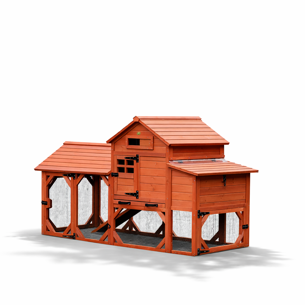 Leghorn Cottage chicken coop for 4 to 6 chickens full product view showing raised hen house with shingled roof, wire mesh run, and entry ramp on white background