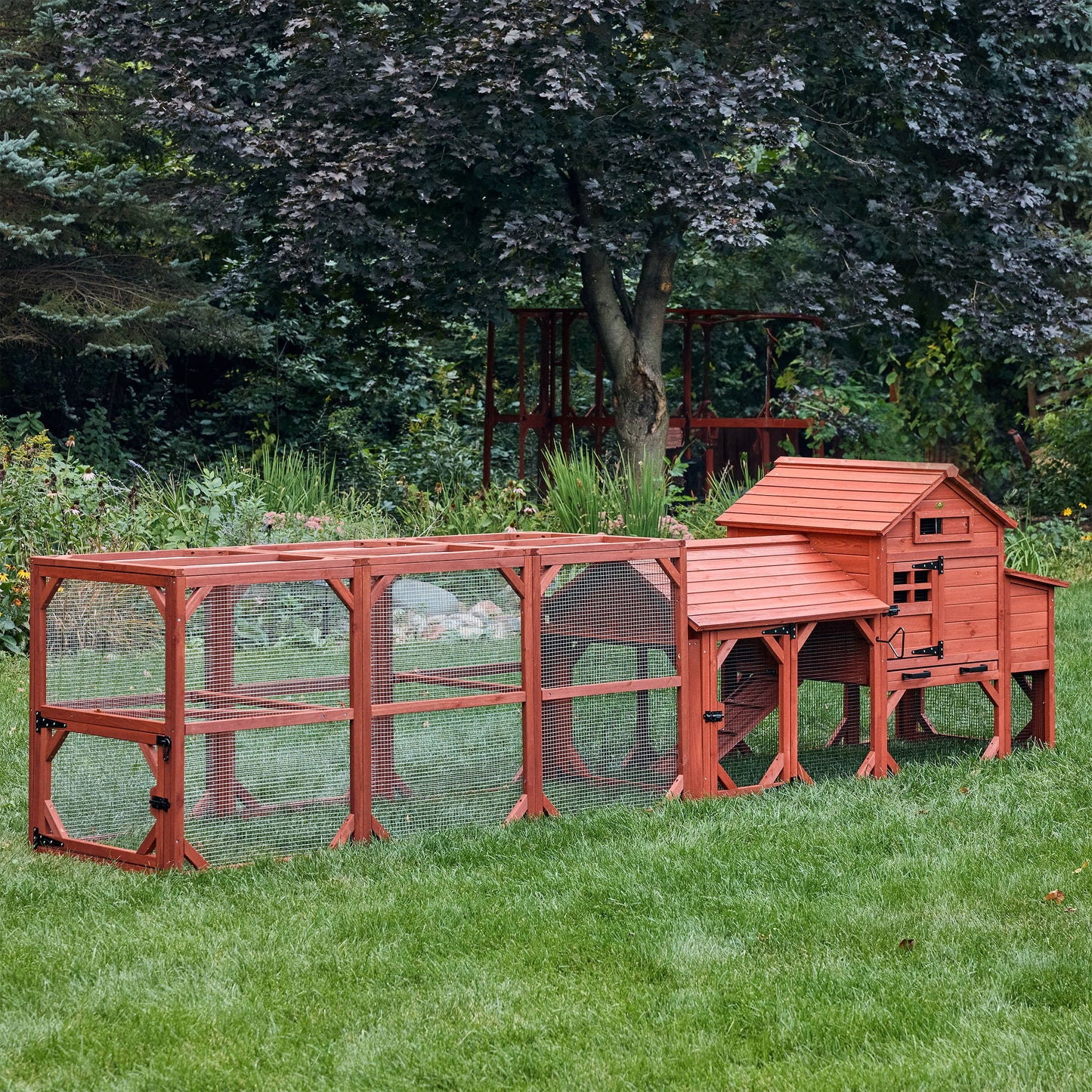Leghorn Cottage small backyard chicken coop fully assembled in lush garden setting showing natural wood finish and complete run configuration
