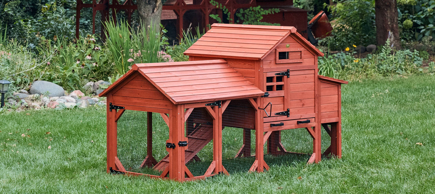 Front angle view of Leghorn Cottage chicken coop for small flocks showing hen house entry door, ramp, and enclosed run exterior