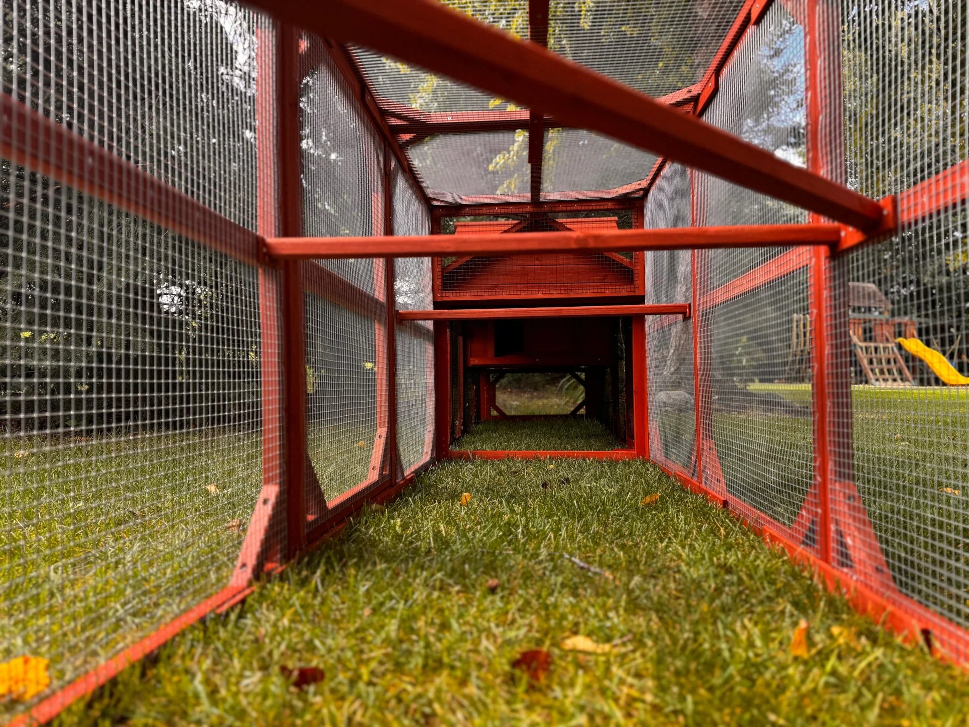 Leghorn Cottage chicken coop assembled in a backyard garden setting with surrounding orange predator fencing showing complete small flock setup