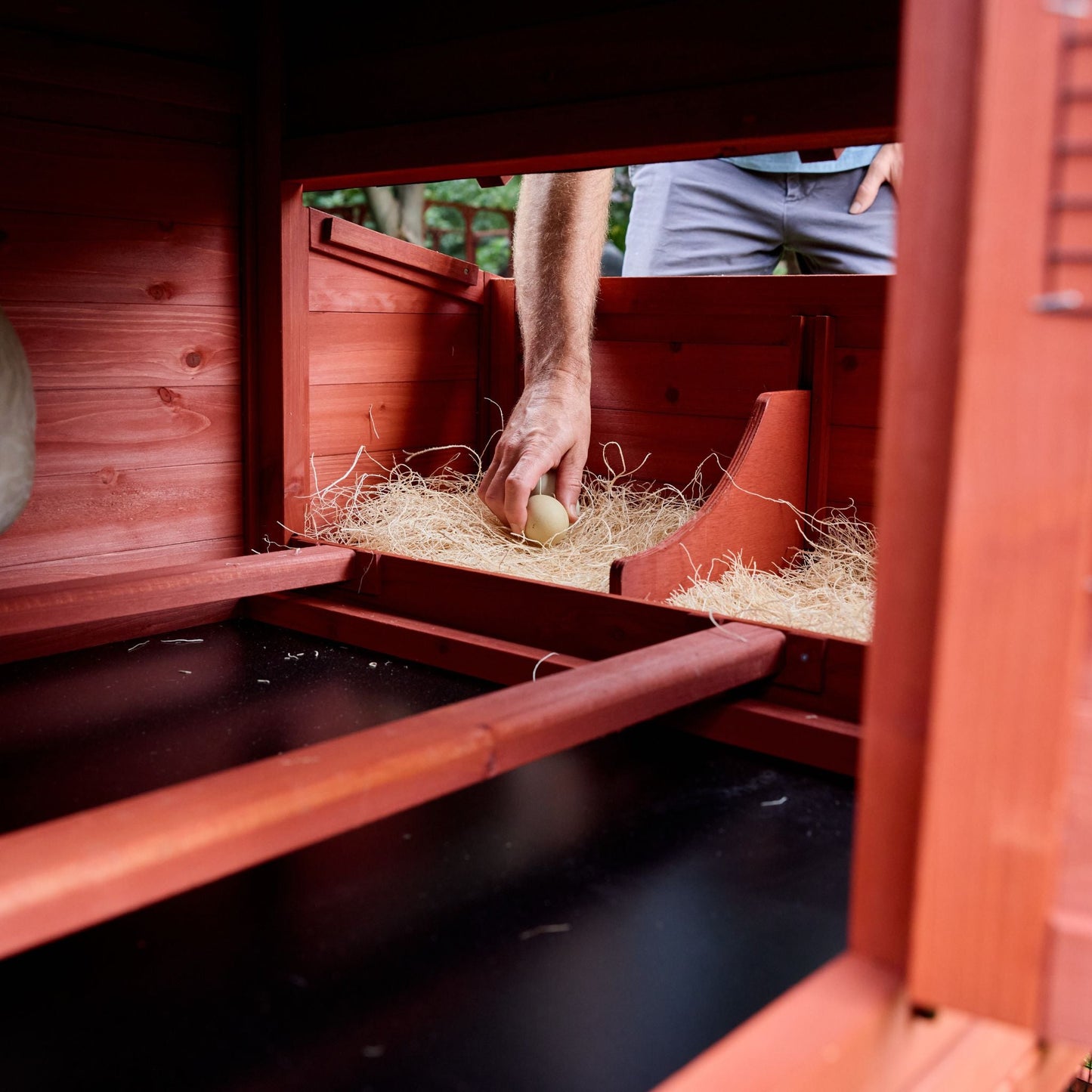 Interior close-up of Leghorn Cottage chicken coop showing pull-out waste cleaning tray beneath the hen house for easy maintenance