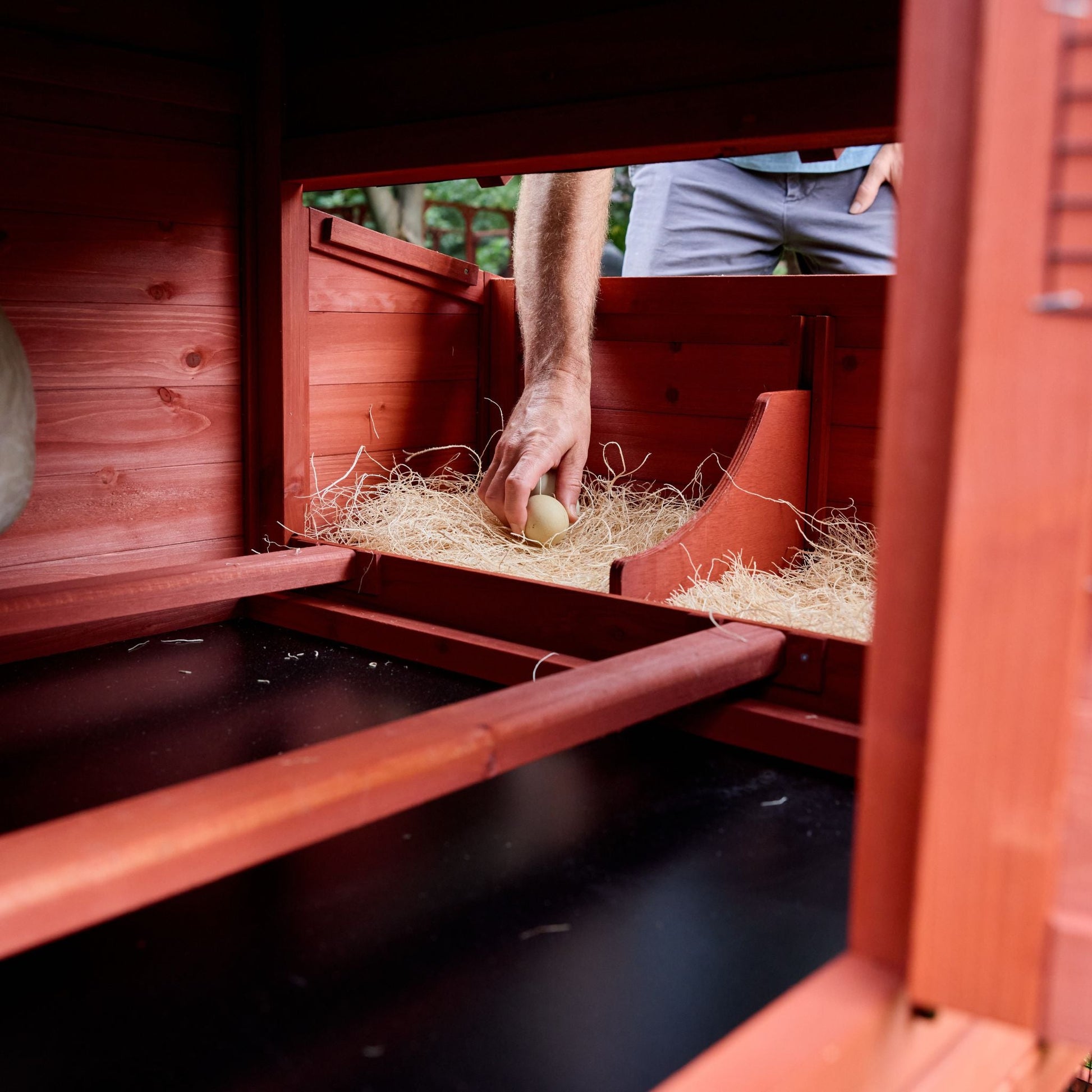 Interior close-up of Leghorn Cottage chicken coop showing pull-out waste cleaning tray beneath the hen house for easy maintenance