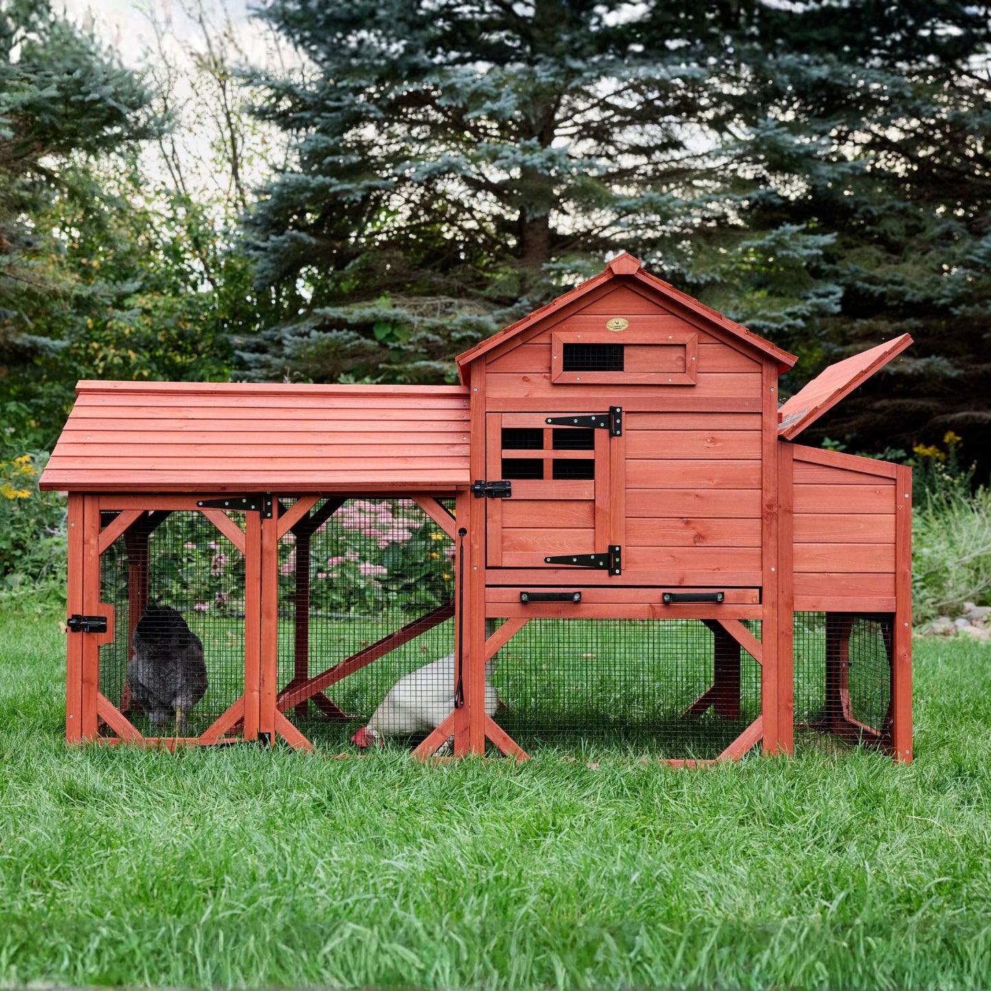 Leghorn Cottage small backyard chicken coop with attached wire mesh run fully assembled on grass in outdoor setting