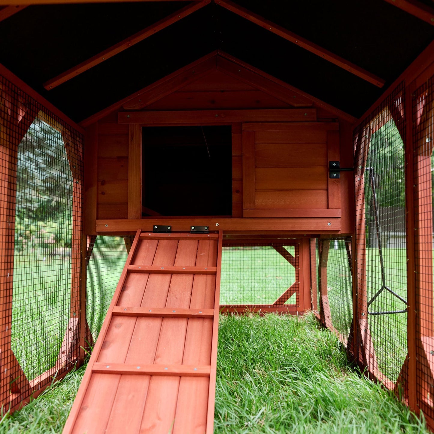 Close-up of Leghorn Cottage chicken coop hen house showing entry ramp, sliding door handle, and raised floor clearance underneath