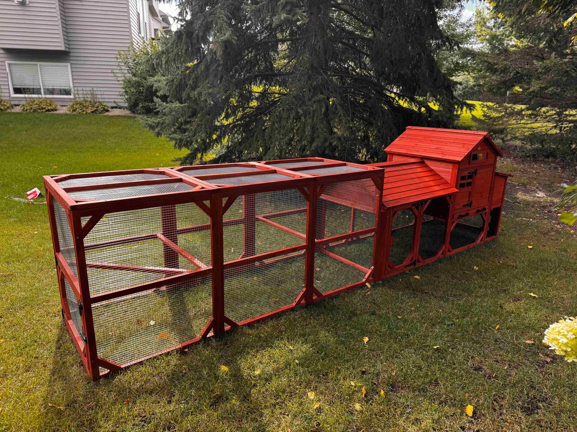 Leghorn Cottage chicken coop for 4 to 6 chickens installed in a wooded backyard setting showing real-world placement and assembled structure