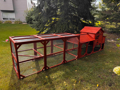 Leghorn Cottage chicken coop for 4 to 6 chickens installed in a wooded backyard setting showing real-world placement and assembled structure
