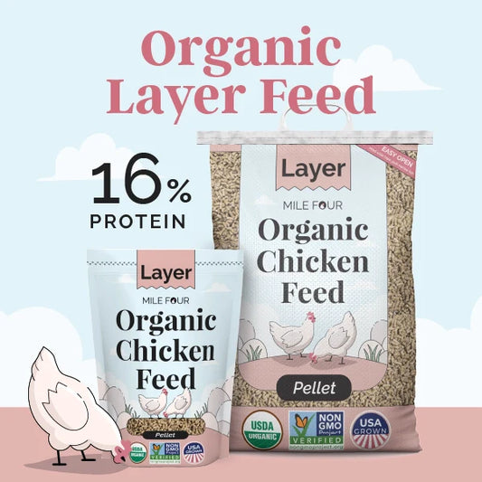 Mile Four organic layer chicken feed bags showing 16 percent protein and organic certification