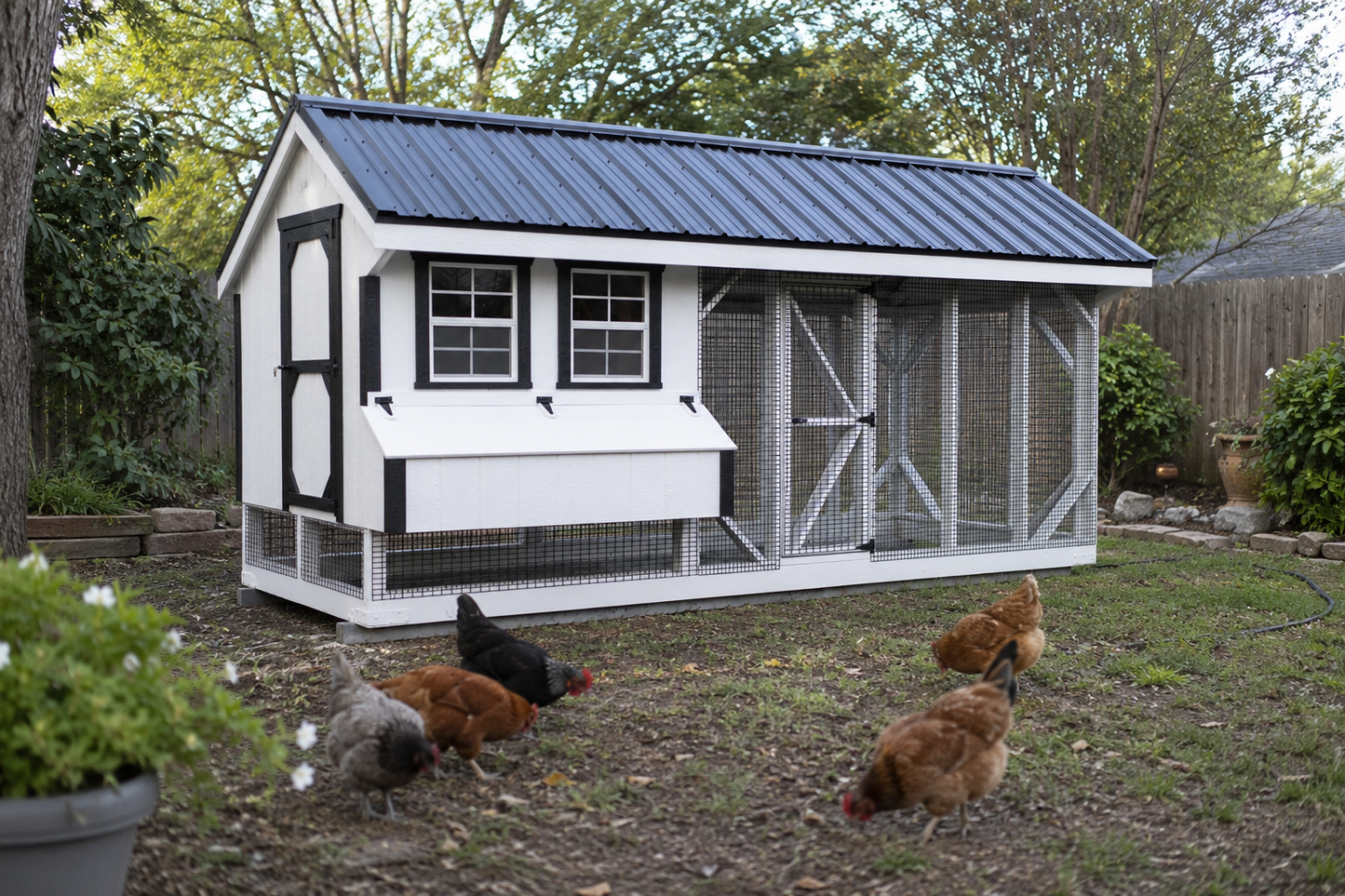 Modern backyard chicken coop with attached predator-proof run and wire mesh enclosure