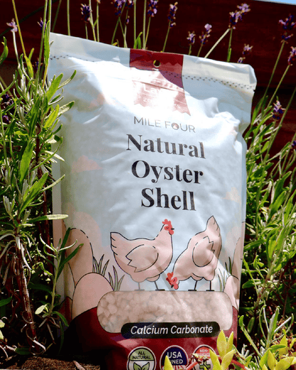 Mile Four Oyster Shell Calcium Supplement for Strong Eggshells