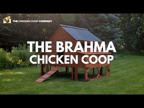 The Brahma Chicken Coop assembly instructional video thumbnail from The Chicken Coop Company showing step-by-step build walkthrough