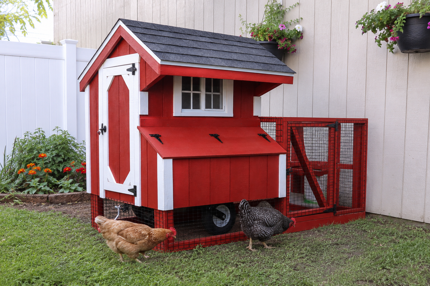 Red and white backyard chicken coop with attached wire run on grass, shown in a garden setting with chickens nearby.