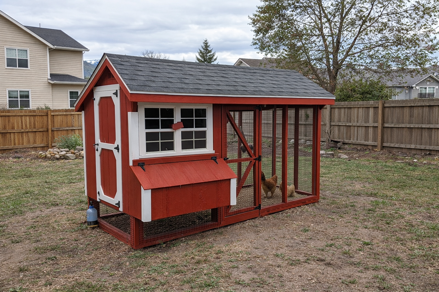 Red and white backyard chicken coop with attached run in a Colorado residential yard featuring wood fence, grass, and mountain backdrop.
