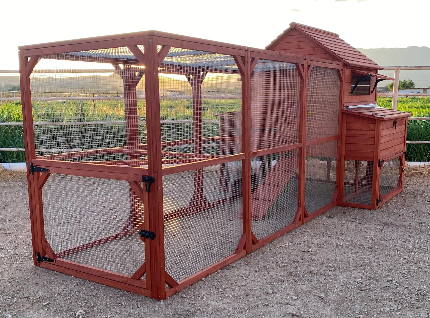 Full view of Rhode Island Homestead chicken coop and run assembled in a garden setting showing complete kit configuration and natural surroundings
