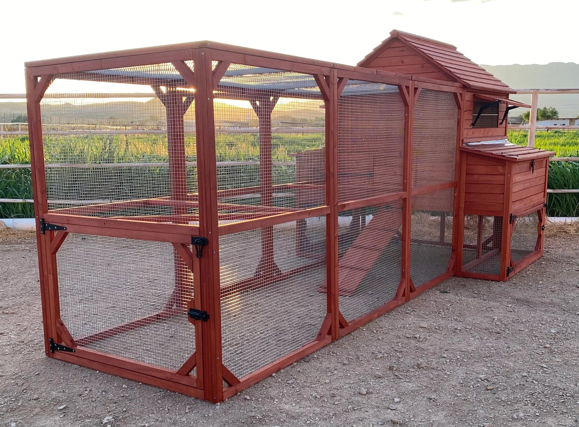 Full view of Rhode Island Homestead chicken coop and run assembled in a garden setting showing complete kit configuration and natural surroundings
