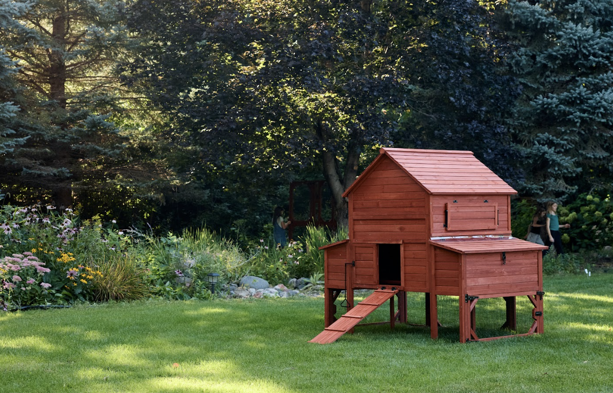 Side angle view of Rhode Island Homestead chicken coop on grass showing raised hen house, nesting box access doors, and attached run