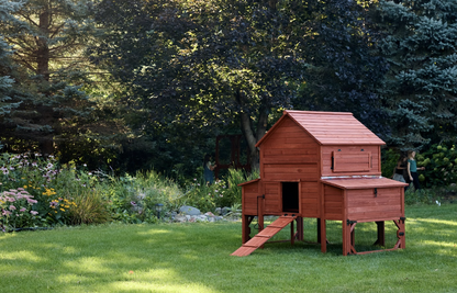 Side angle view of Rhode Island Homestead chicken coop on grass showing raised hen house, nesting box access doors, and attached run