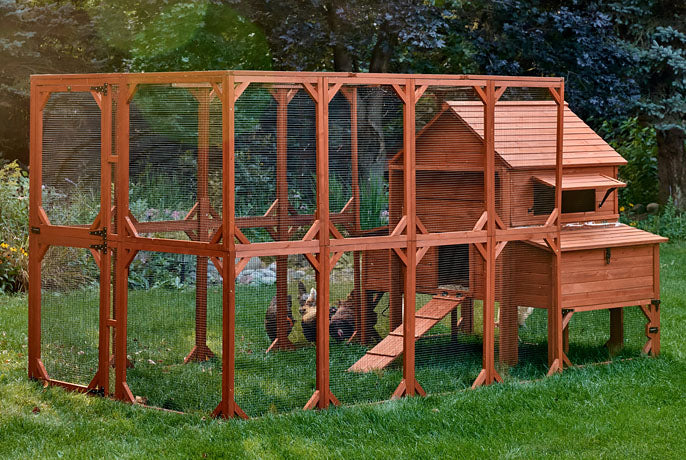  Front angle view of Rhode Island Homestead chicken coop kit showing hen house entry ramp, wire mesh run, and nesting box section