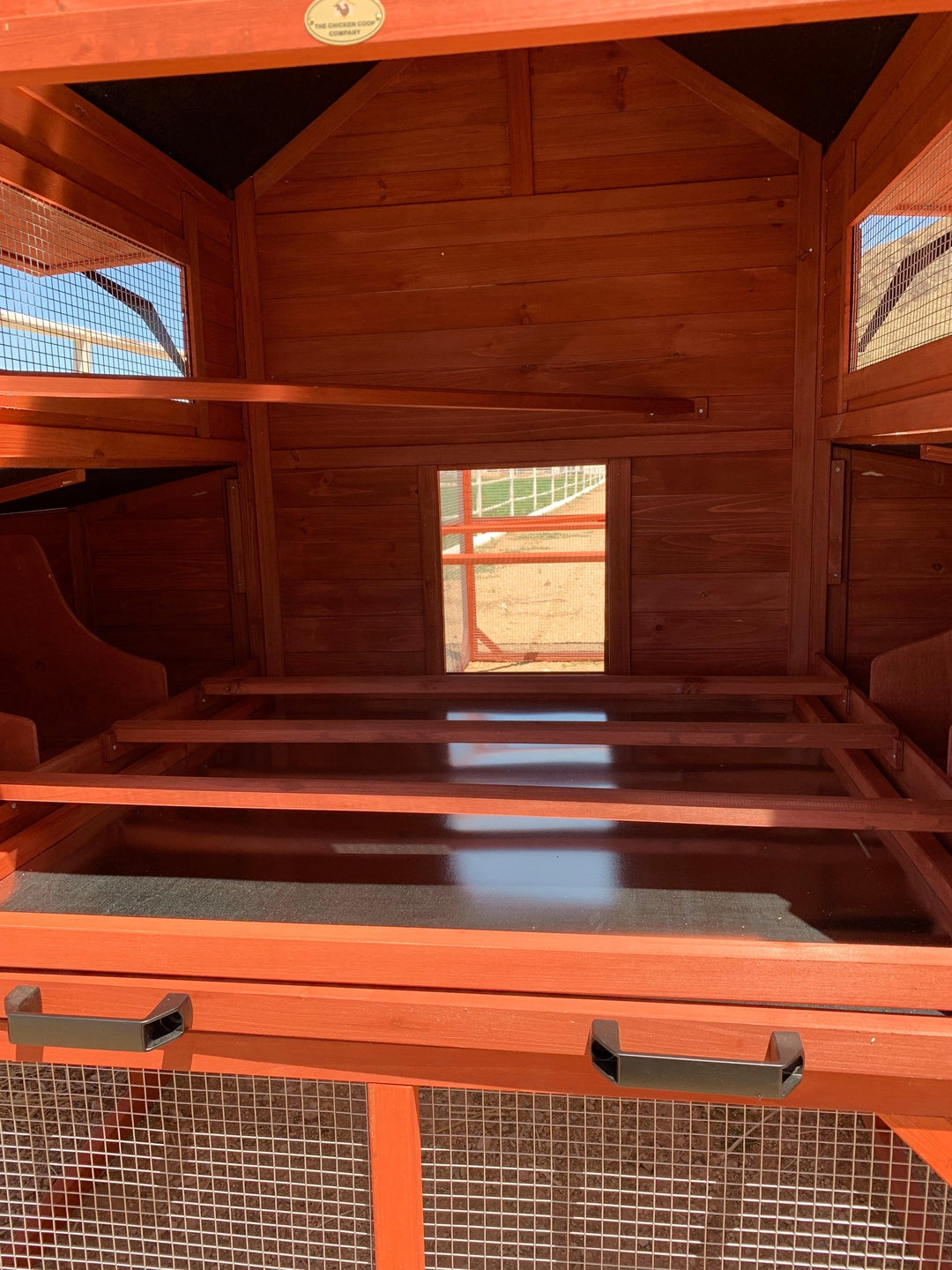 Interior detail of Rhode Island Homestead chicken coop showing multiple level roosting bars and interior hen house floor space