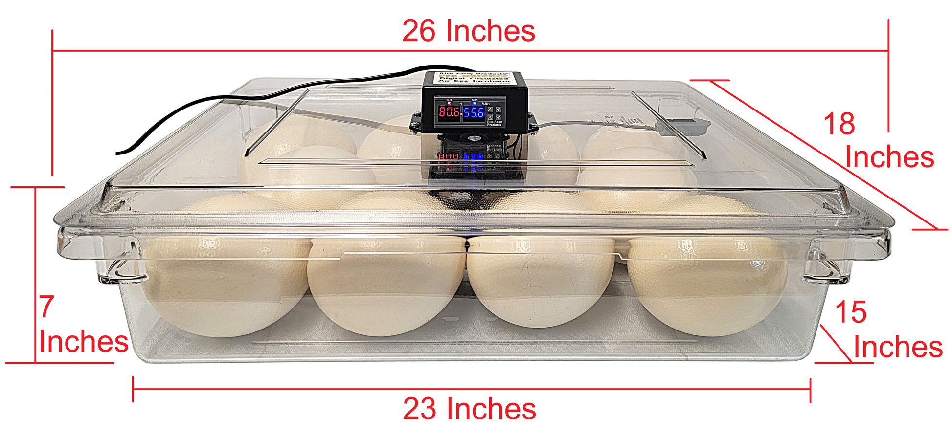 Clear egg incubator holding mixed size eggs including chicken and large exotic eggs with digital controller