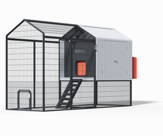 Smart Coop with steel chicken run featuring AI predator detection and automatic door
