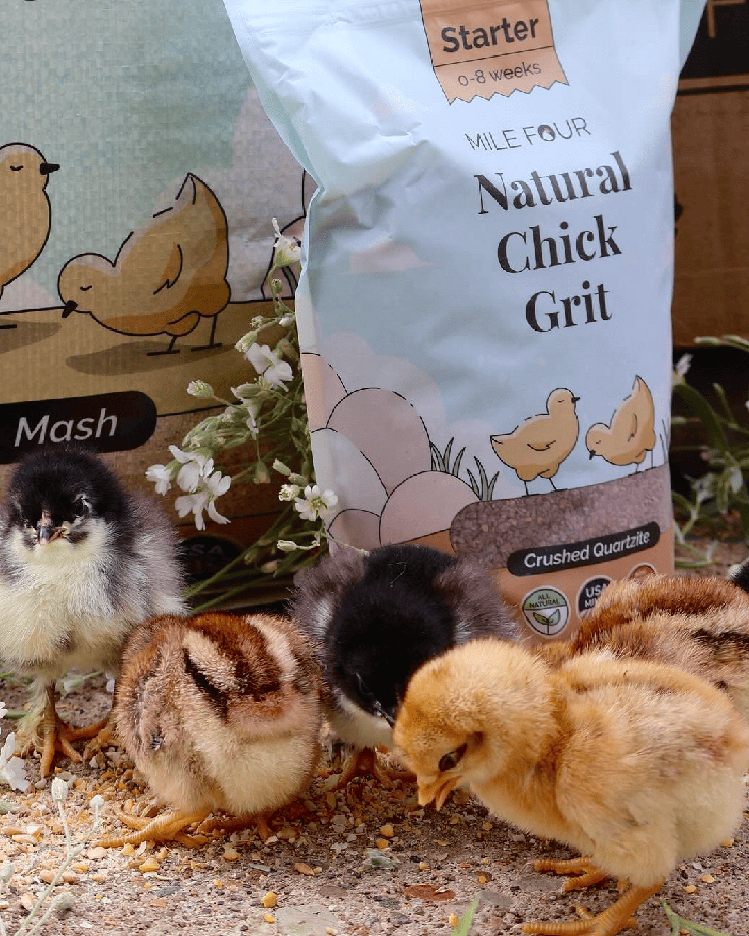 Mile Four Chicken Grit for Digestion & Nutrient Absorption