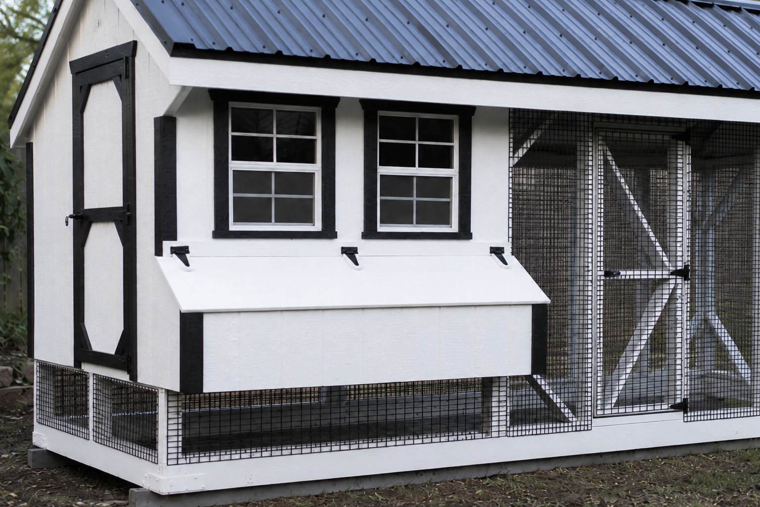 black and white wooden chicken coop with nesting boxes and secure run